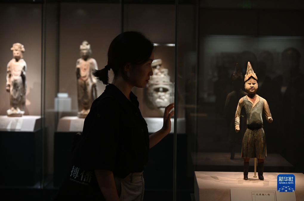 网上真博